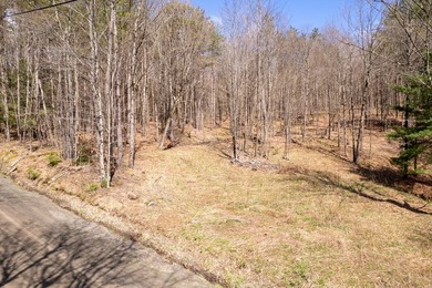 10.4 wooded acres on Walker Road in Nineveh, located on a quiet - photo 1