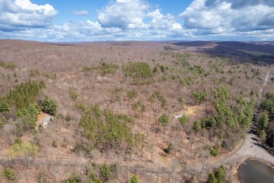 10.4 wooded acres on Walker Road in Nineveh, located on a quiet - photo 2