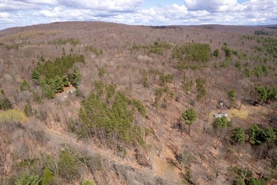 10.4 wooded acres on Walker Road in Nineveh, located on a quiet - photo 3