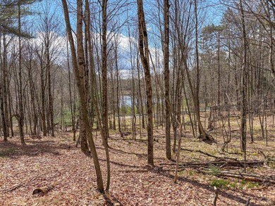 10.4 wooded acres on Walker Road in Nineveh, located on a quiet - photo 4