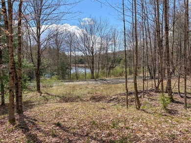 10.4 wooded acres on Walker Road in Nineveh, located on a quiet - photo 5