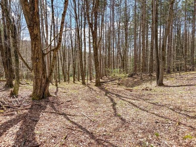 10.4 wooded acres on Walker Road in Nineveh, located on a quiet - photo 6
