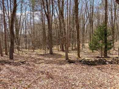 10.4 wooded acres on Walker Road in Nineveh, located on a quiet - photo 7
