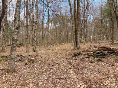 10.4 wooded acres on Walker Road in Nineveh, located on a quiet - photo 8