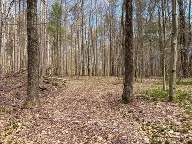 10.4 wooded acres on Walker Road in Nineveh, located on a quiet - photo 9