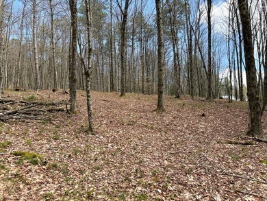 10.4 wooded acres on Walker Road in Nineveh, located on a quiet - photo 10