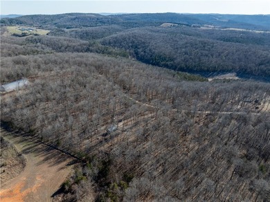 Discover 3.23 wooded acres in the sought-after Webb's Landing 3 - photo 11