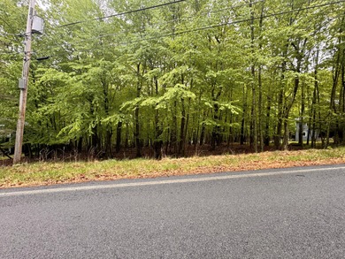 Mill Pond Lot For Sale in Bushkill Pennsylvania