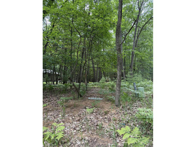Beautiful .6 acre lot in Apache Hills, a great spot for a new - photo 3