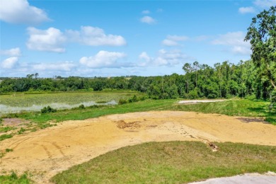 Lake Acreage For Sale in Montverde, Florida