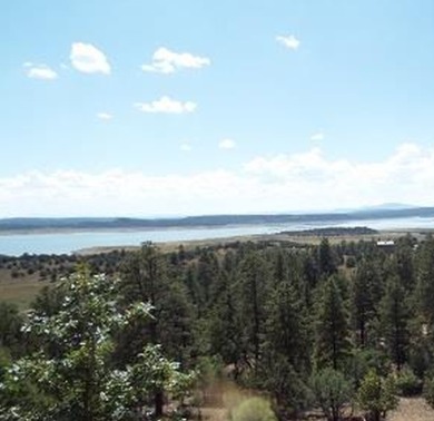 Heron Lake Acreage For Sale in Rutheron New Mexico