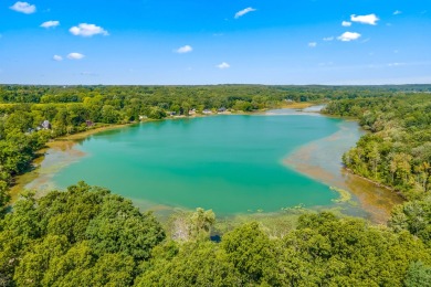 (private lake, pond, creek) Home For Sale in Hillsdale Michigan