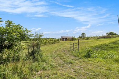 Shafer Lake Acreage For Sale in Lawrence Michigan