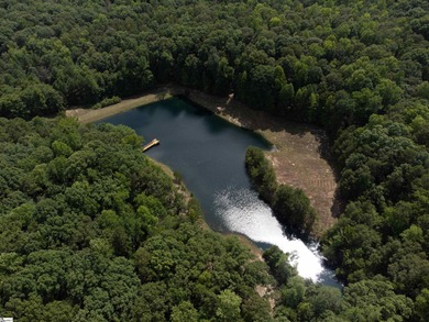 This property is a dream come true. Approx. a 2 1/2 to 3 acre - photo 2