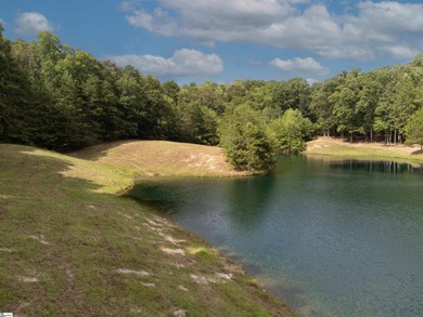 This property is a dream come true. Approx. a 2 1/2 to 3 acre - photo 4