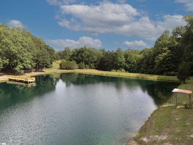 This property is a dream come true. Approx. a 2 1/2 to 3 acre - photo 5