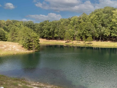 This property is a dream come true. Approx. a 2 1/2 to 3 acre - photo 7