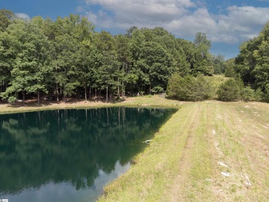 This property is a dream come true. Approx. a 2 1/2 to 3 acre - photo 8