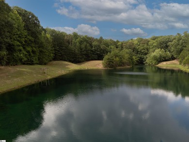 This property is a dream come true. Approx. a 2 1/2 to 3 acre - photo 9