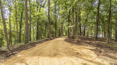 Outstanding TN River Waterfront Property! Rarely does an - photo 14