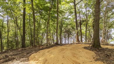 Outstanding TN River Waterfront Property! Rarely does an - photo 15