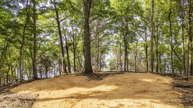 Outstanding TN River Waterfront Property! Rarely does an - photo 18