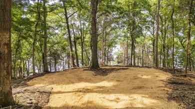 Outstanding TN River Waterfront Property! Rarely does an - photo 21