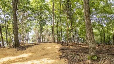 Outstanding TN River Waterfront Property! Rarely does an - photo 22