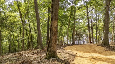 Outstanding TN River Waterfront Property! Rarely does an - photo 23