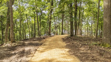 Outstanding TN River Waterfront Property! Rarely does an - photo 24
