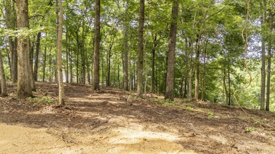 Outstanding TN River Waterfront Property! Rarely does an - photo 26