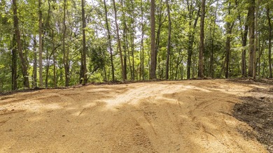 Outstanding TN River Waterfront Property! Rarely does an - photo 27