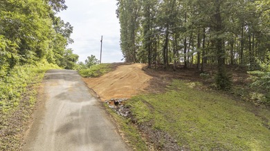 Outstanding TN River Waterfront Property! Rarely does an - photo 28