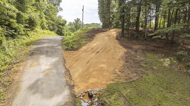 Outstanding TN River Waterfront Property! Rarely does an - photo 29