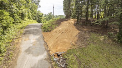 Outstanding TN River Waterfront Property! Rarely does an - photo 30