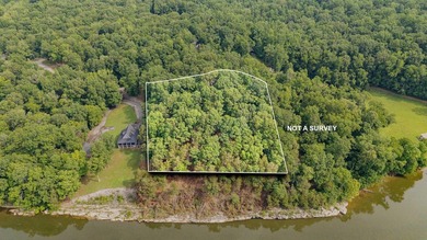 Outstanding TN River Waterfront Property! Rarely does an - photo 32