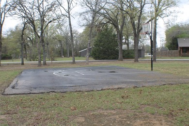 2 fenced lots, 1 great house! Priced well below Henderson County - photo 33