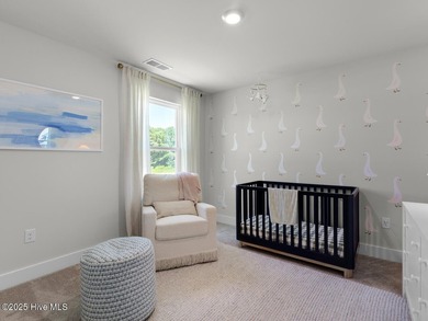 Welcome to Hubert's newest neighborhood, Surfside Landing! - photo 41