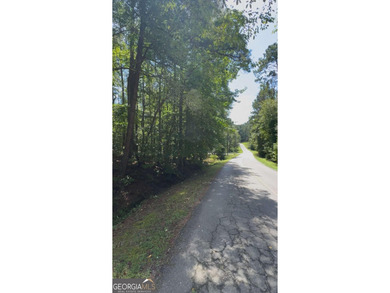 Lake Acreage For Sale in Villa Rica, Georgia