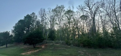 Lake Greenwood Lot For Sale in Hodges South Carolina