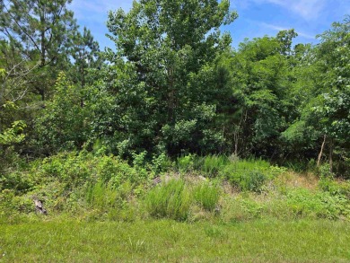 Lake Acreage For Sale in Murray, Kentucky