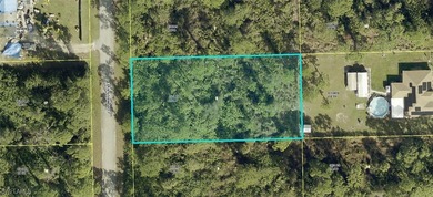 Lehigh Acres Area Lot For Sale in Alva Florida