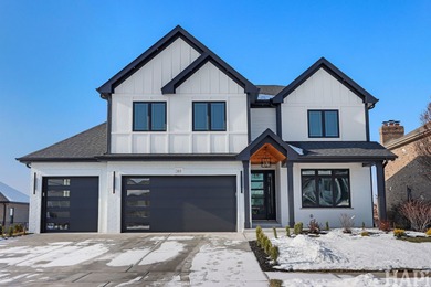 Lake Home For Sale in Manhattan, Illinois