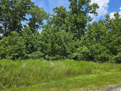 Lake Acreage For Sale in Murray, Kentucky