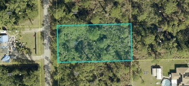 Lehigh Acres Area Lot For Sale in Alva Florida