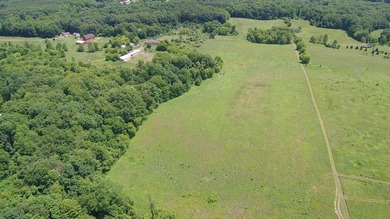 33 Mostly Tillable Acres with Pond in Bellevue, MI ~ Online Real - photo 1