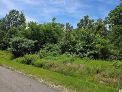 Lake Acreage For Sale in Murray, Kentucky