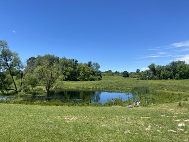33 Mostly Tillable Acres with Pond in Bellevue, MI ~ Online Real - photo 2