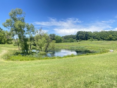 33 Mostly Tillable Acres with Pond in Bellevue, MI ~ Online Real - photo 3