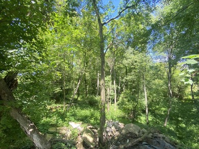 33 Mostly Tillable Acres with Pond in Bellevue, MI ~ Online Real - photo 4